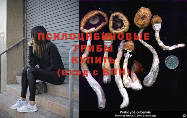 хмурый Анива