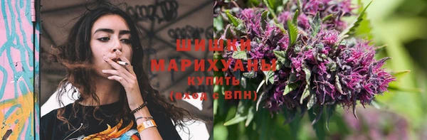 Альфа ПВП Липки