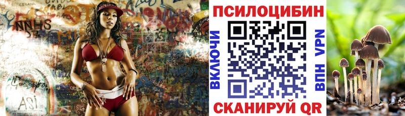 omg ссылки  где можно купить наркотик  Сальск  Галлюциногенные грибы мухоморы 