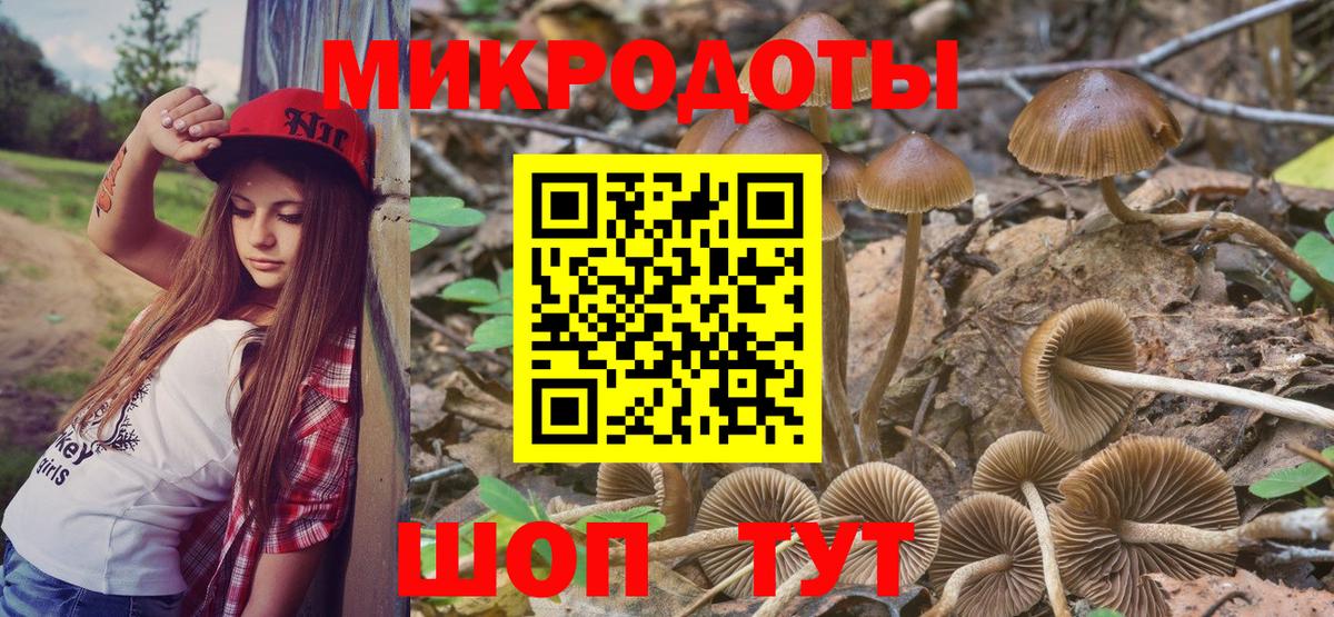Псилоцибиновые грибы ЛСД  Вход с VPN  Псилоцибиновые грибы MAGIC MUSHROOMS  Сальск 