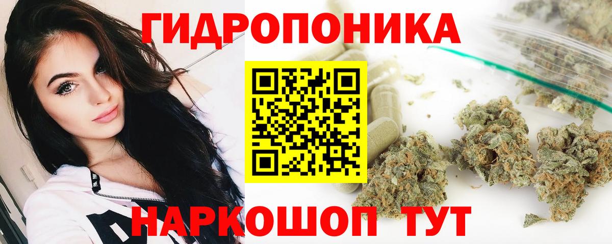 Шишки марихуана гибрид Сальск